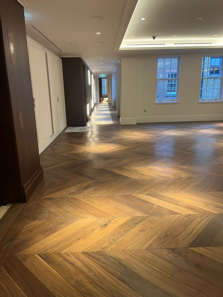 Sani Renovation